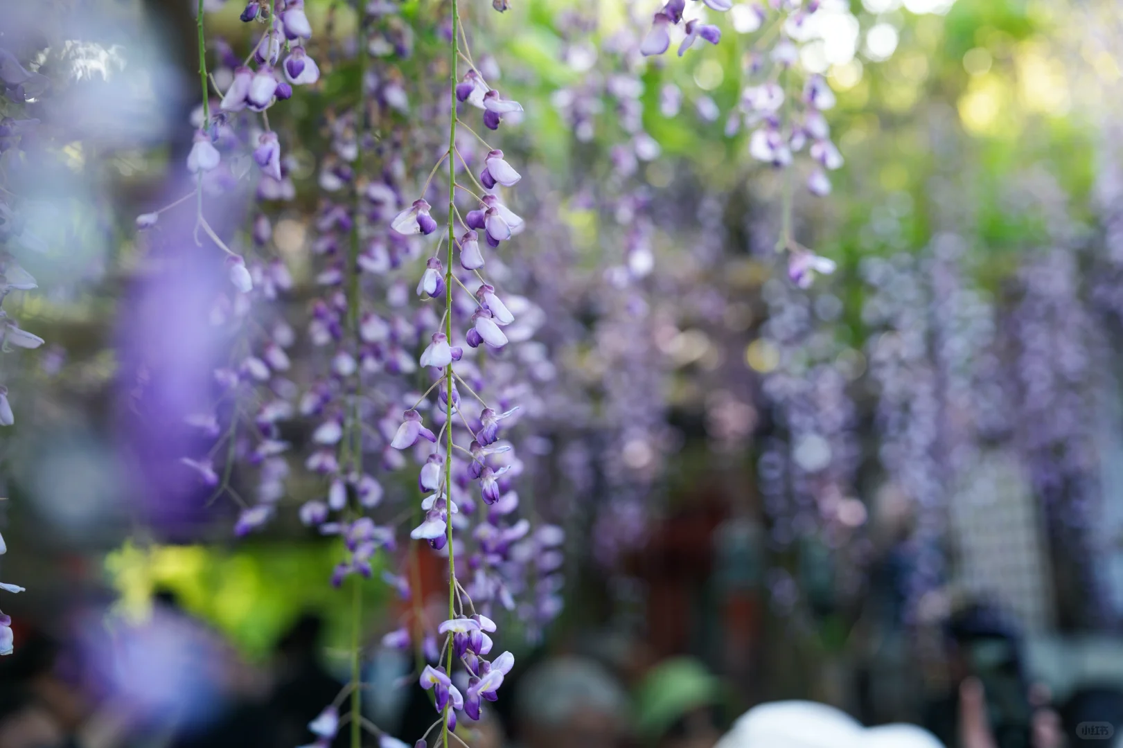 【骨灰级玩家の大阪自由行保姆级攻略】5刷总结