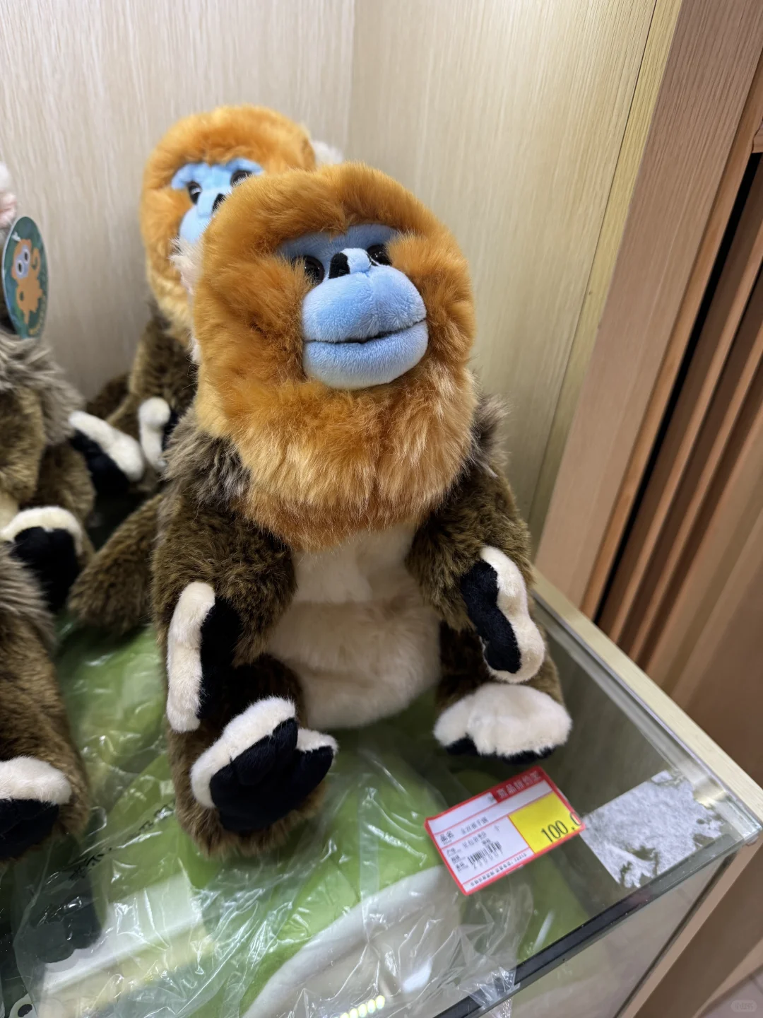 神农架五个景点包车一日游