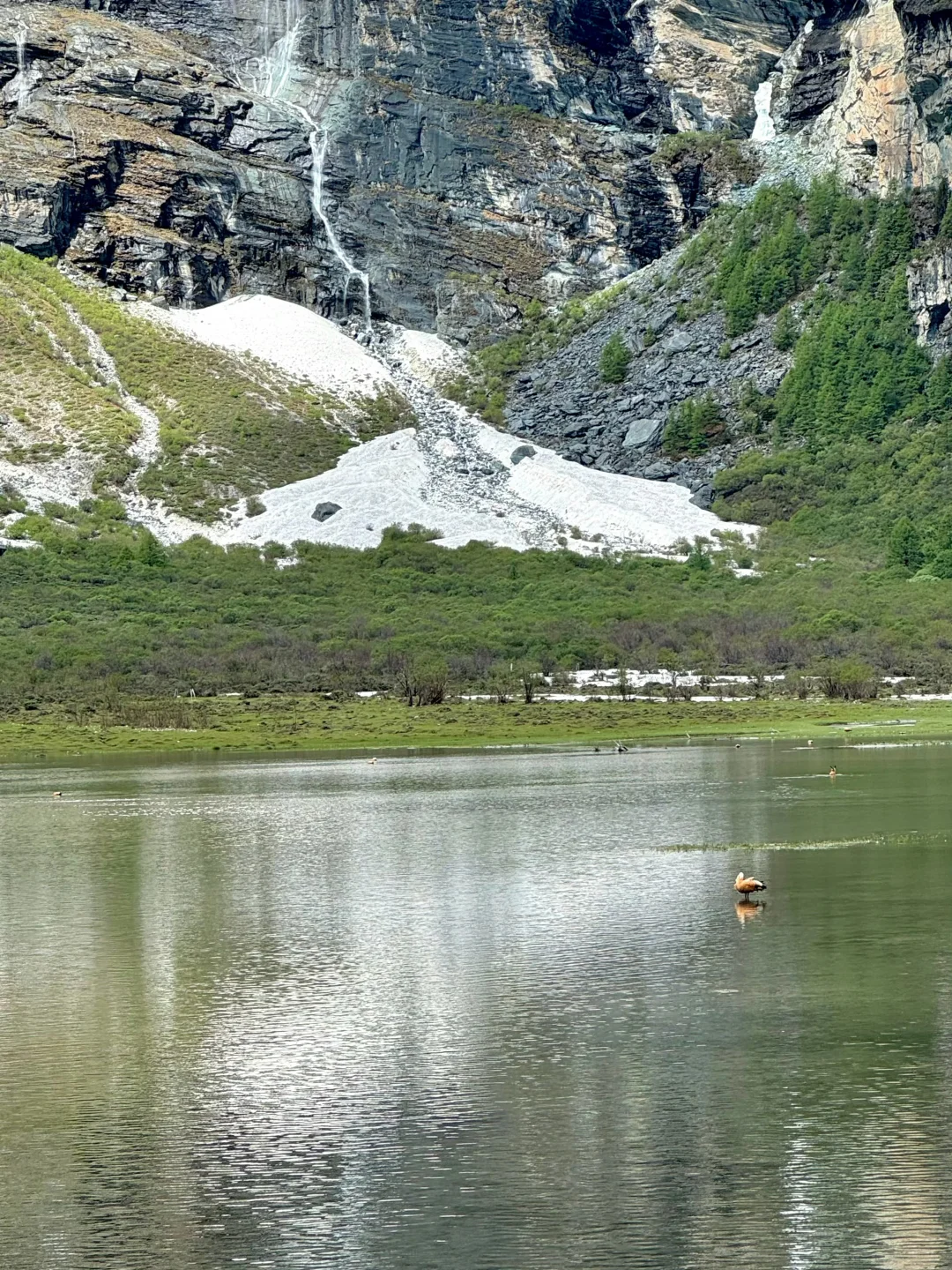 5.1📍稻城亚丁刚回！live实况+避坑指南❗️