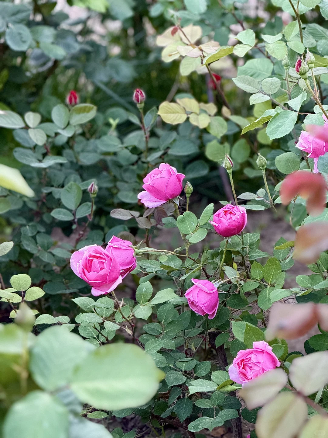 95后女生五一水上公园一日游，都玩了什么⁉️