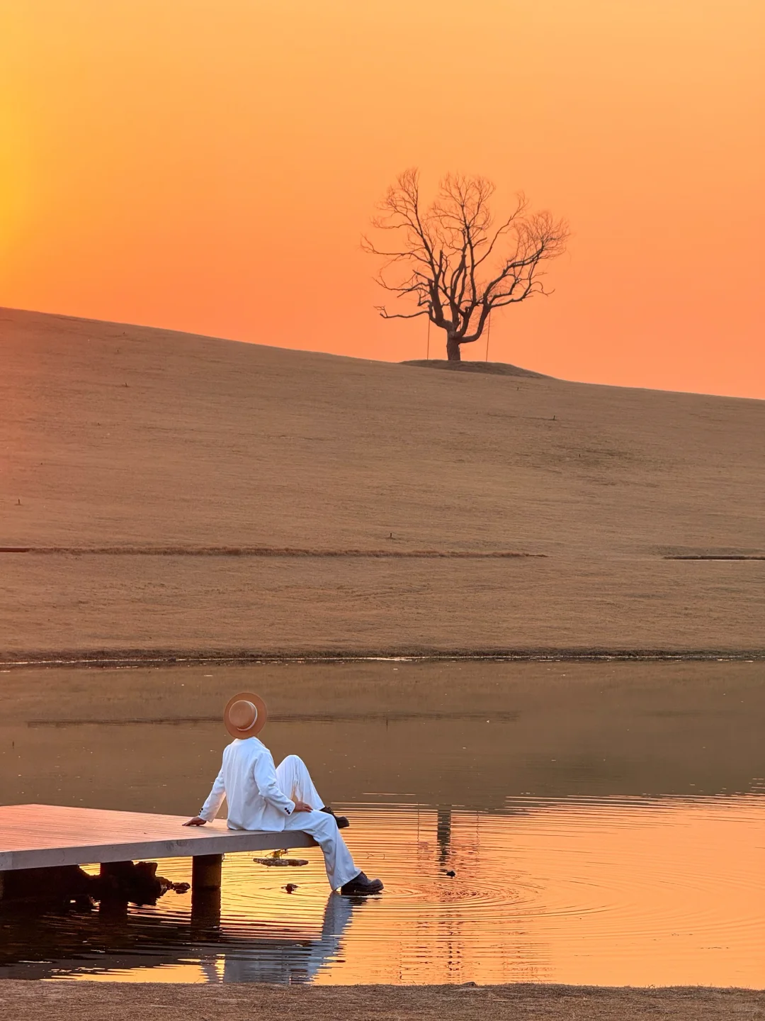 山东小阿那亚🌲99%人不知道的宝藏艺术小镇
