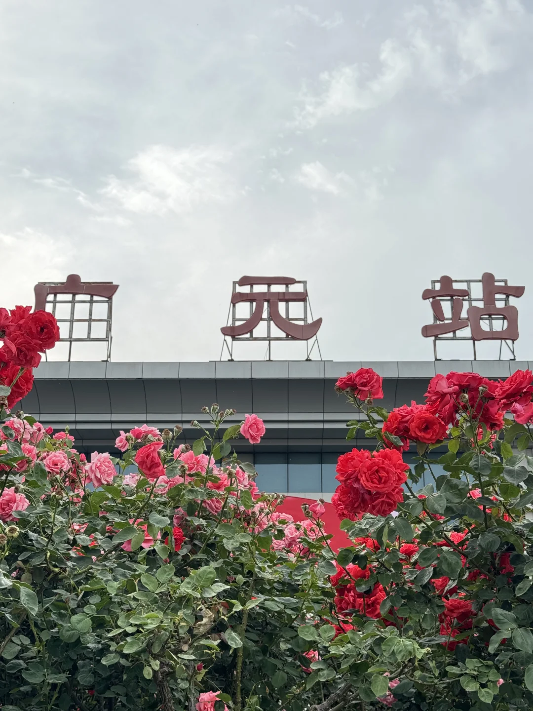 川行｜川北门户——广元