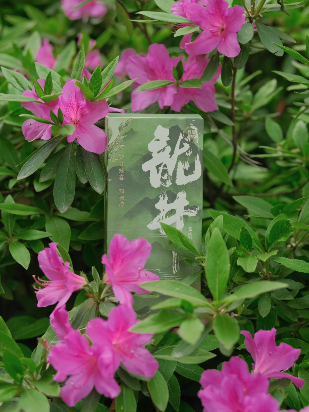 五一来杭州，教你如何避开人群小众游～