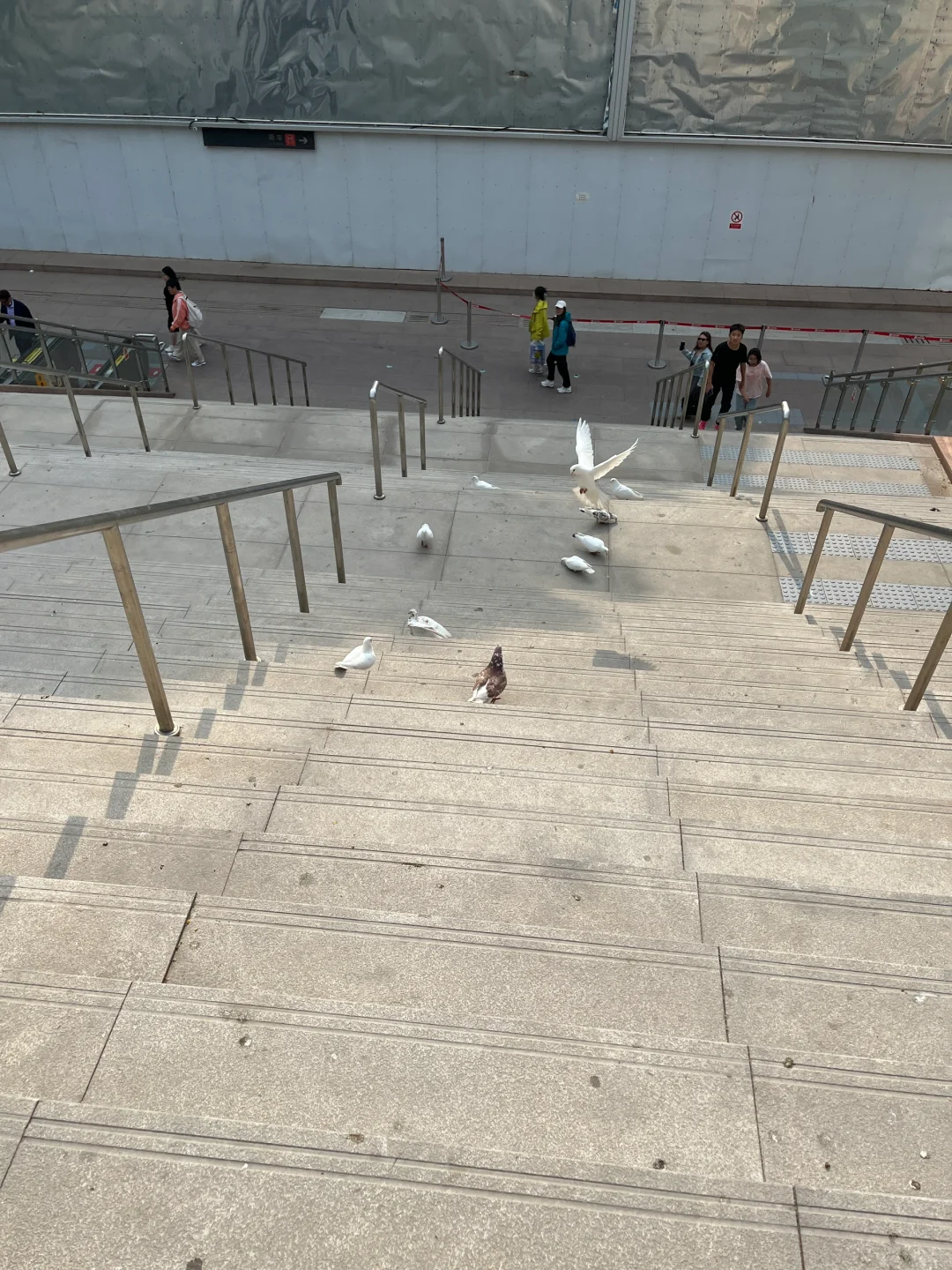 不愧是国际庄！