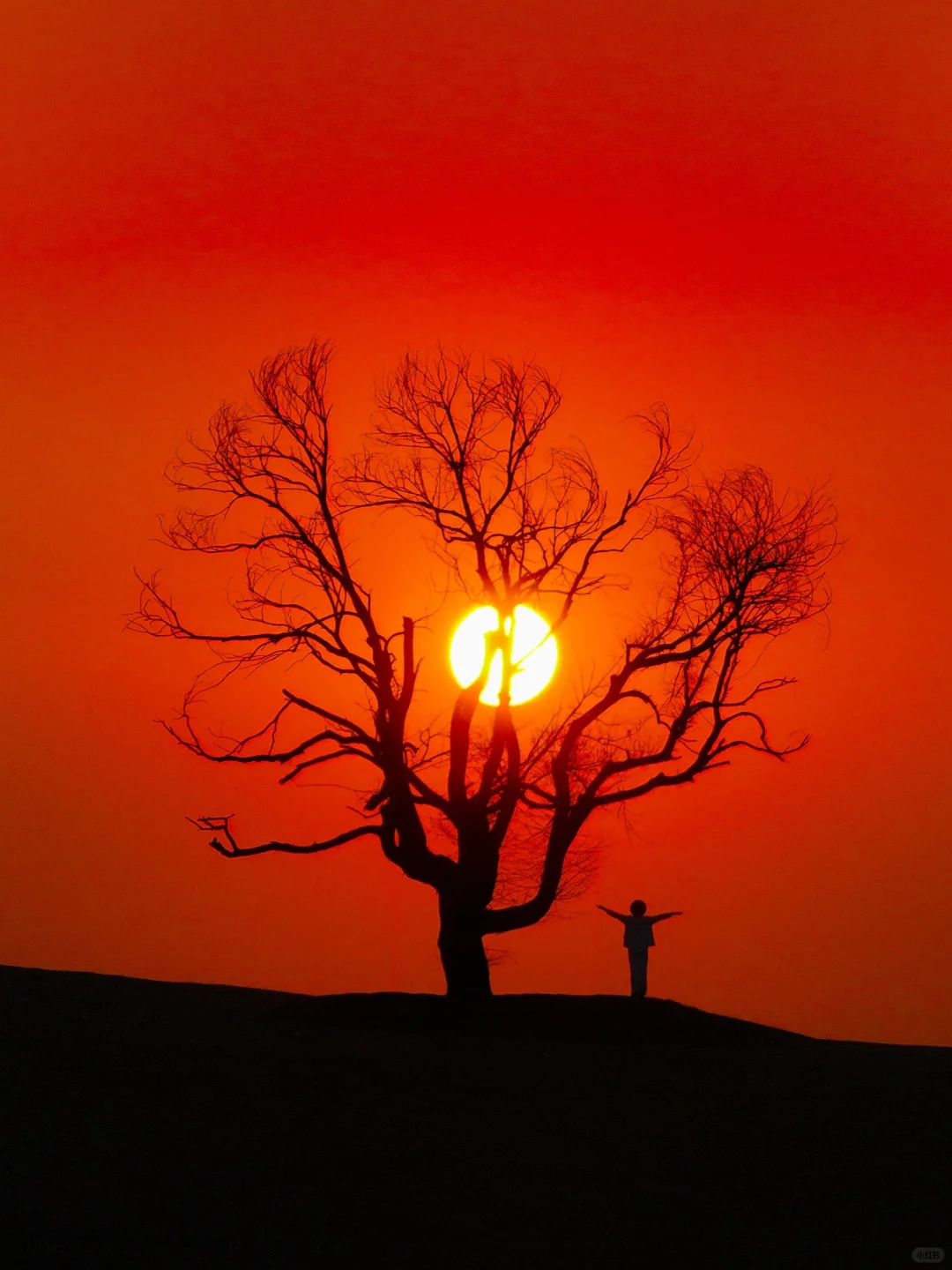 山东小阿那亚🌲99%人不知道的宝藏艺术小镇