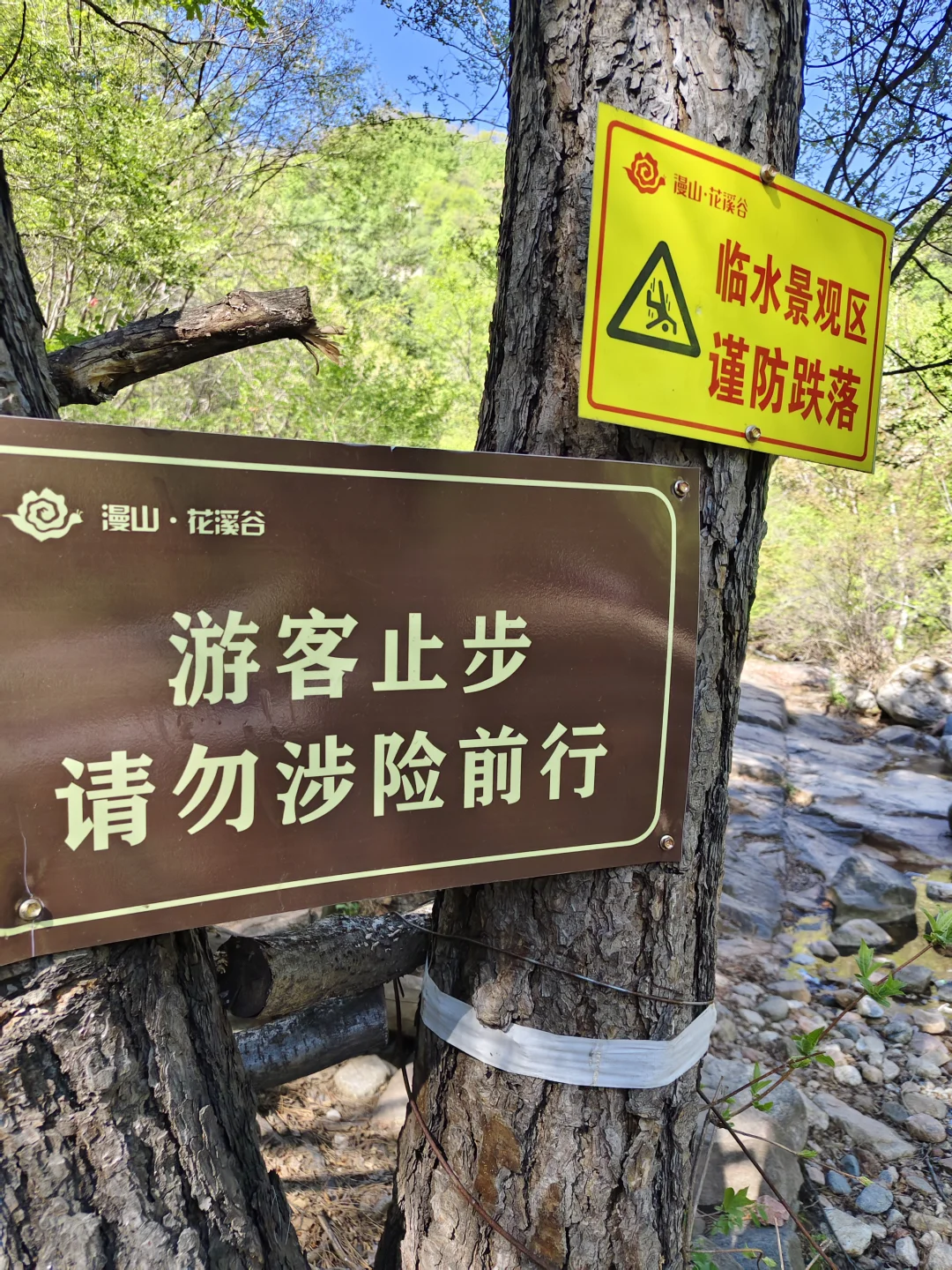 五一漫山花溪谷