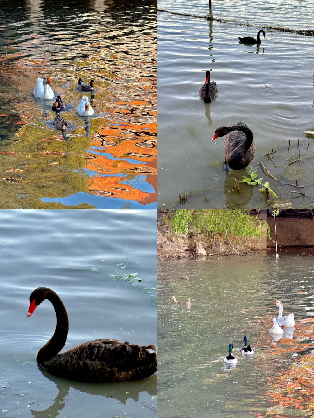 95后女生五一水上公园一日游，都玩了什么⁉️