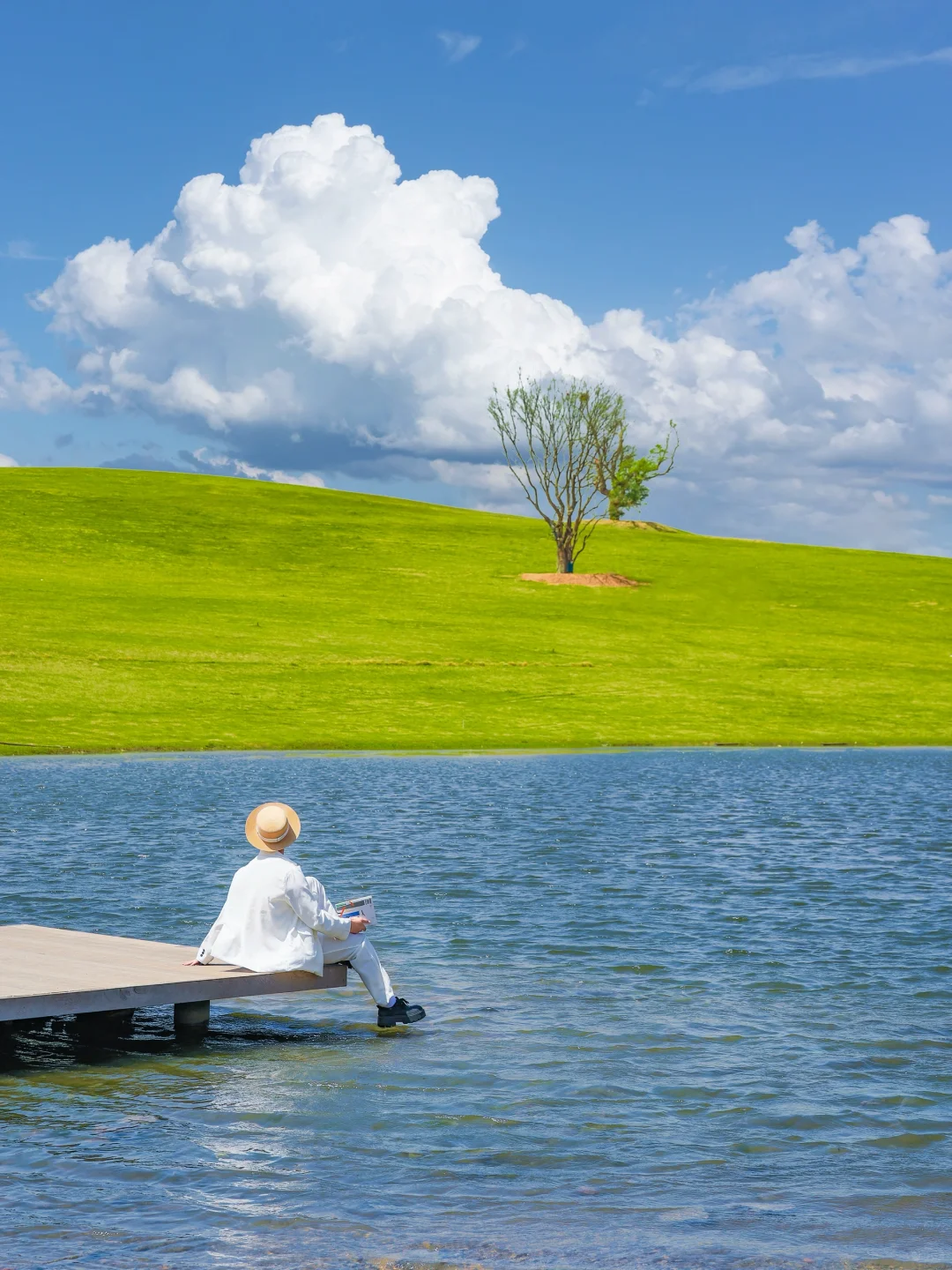 山东小阿那亚🌲99%人不知道的宝藏艺术小镇