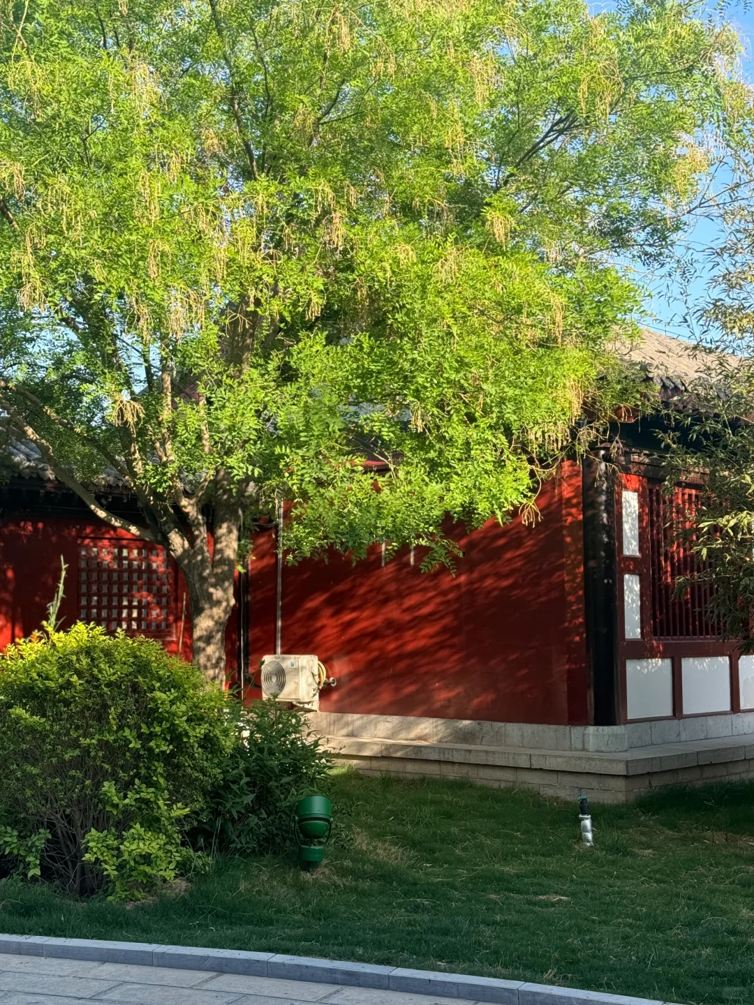 邯郸大名｜小县城的浪漫古城夜游夜拍📷