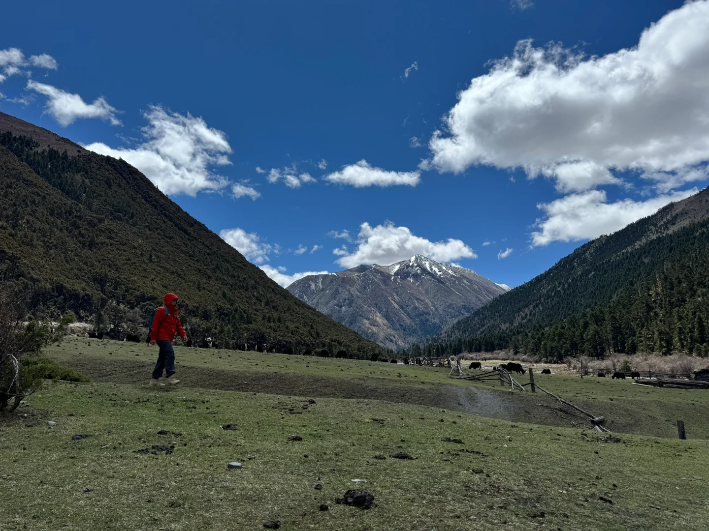 无底湖 5月4日实况 非常值得