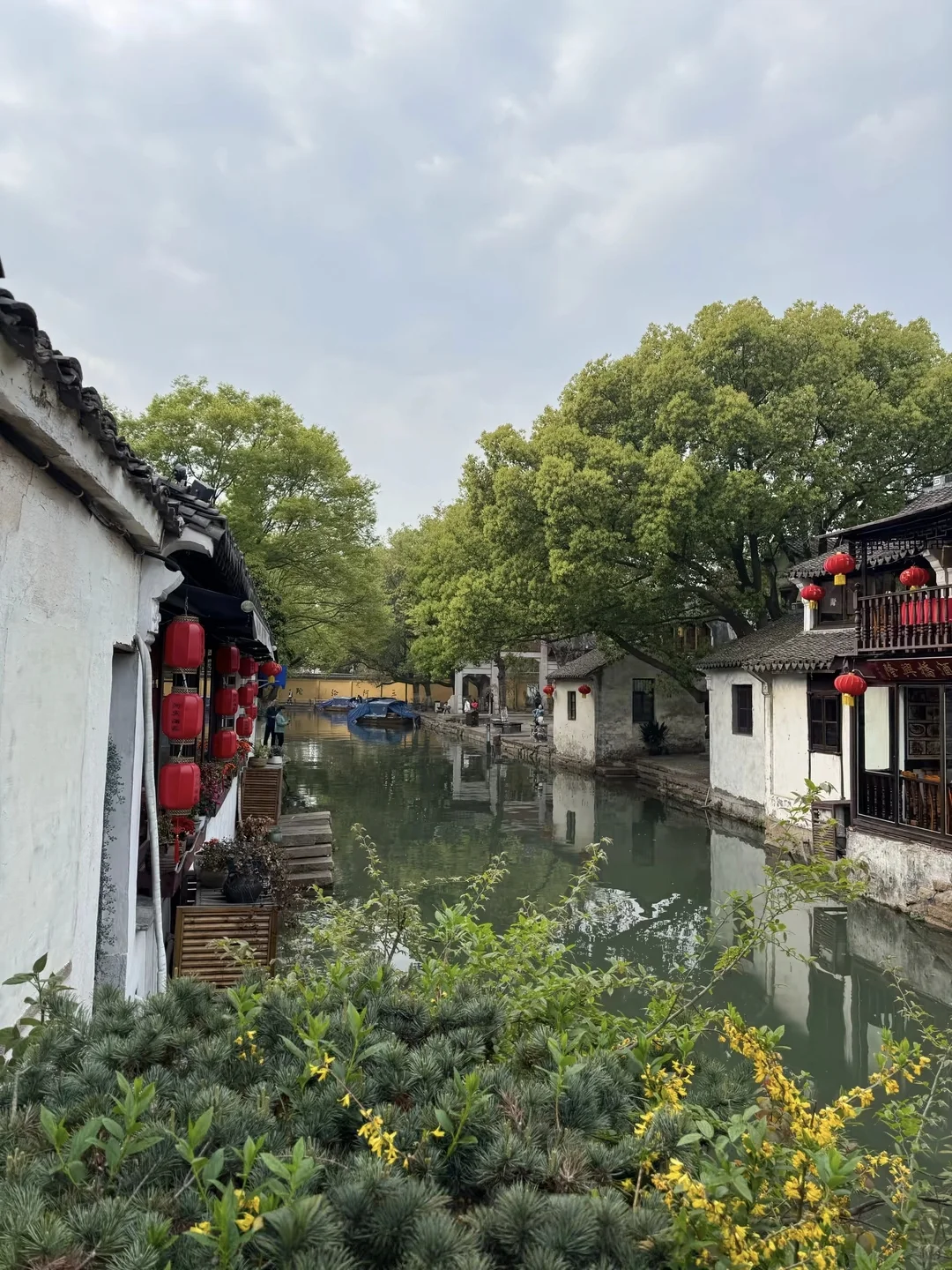 📍苏州·夜半钟声到客船（五一出游攻略）