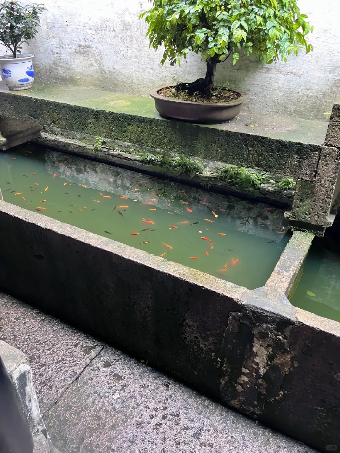 比起苏杭，绍兴才是我心中的江南top1！