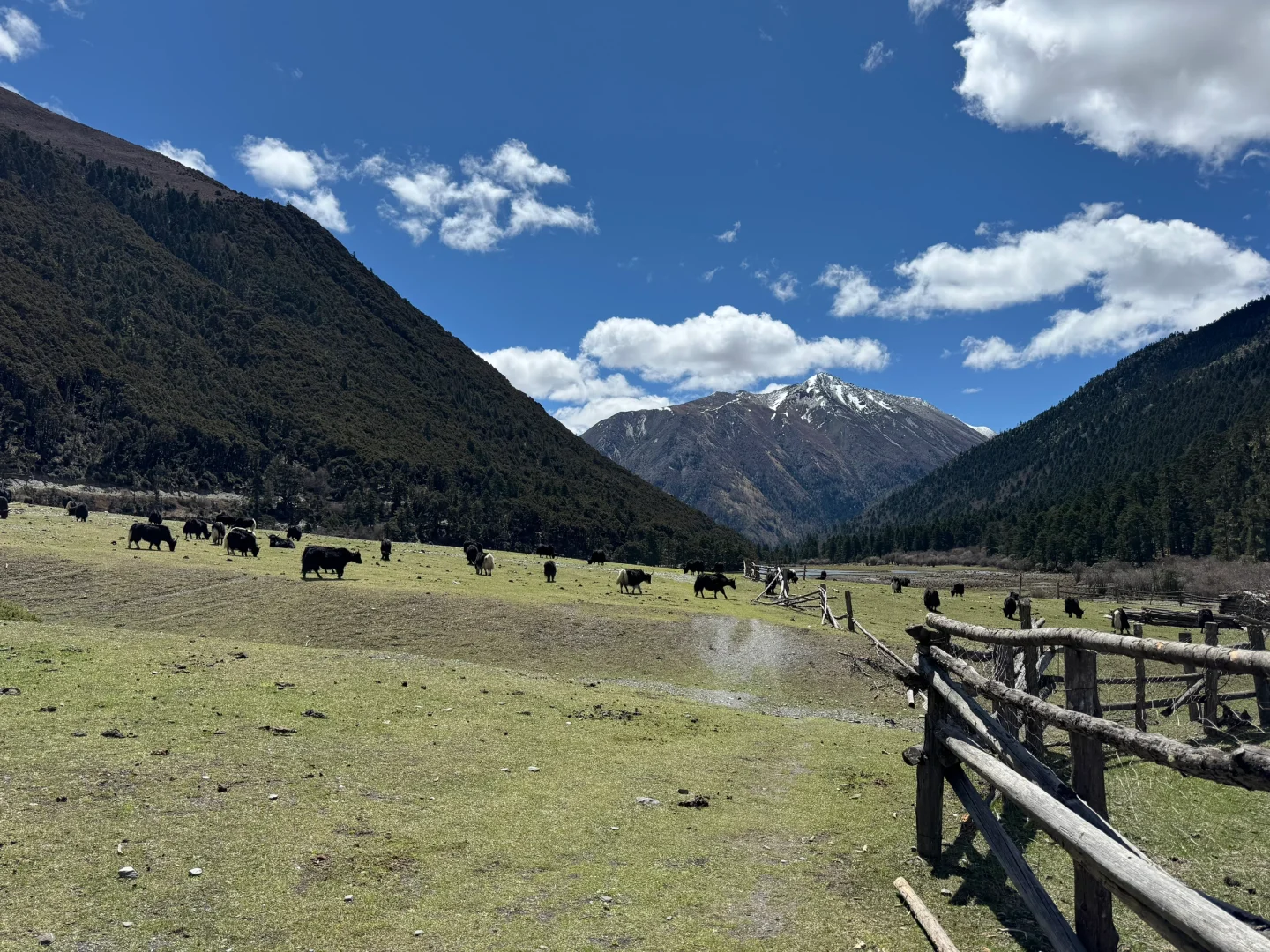 无底湖 5月4日实况 非常值得