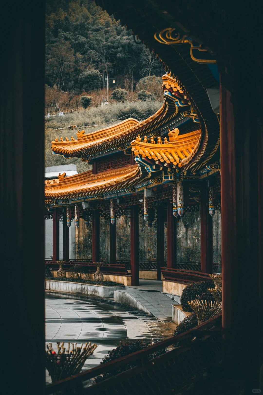 趁南京这座寺庙还不收门票🎫，大家快冲～