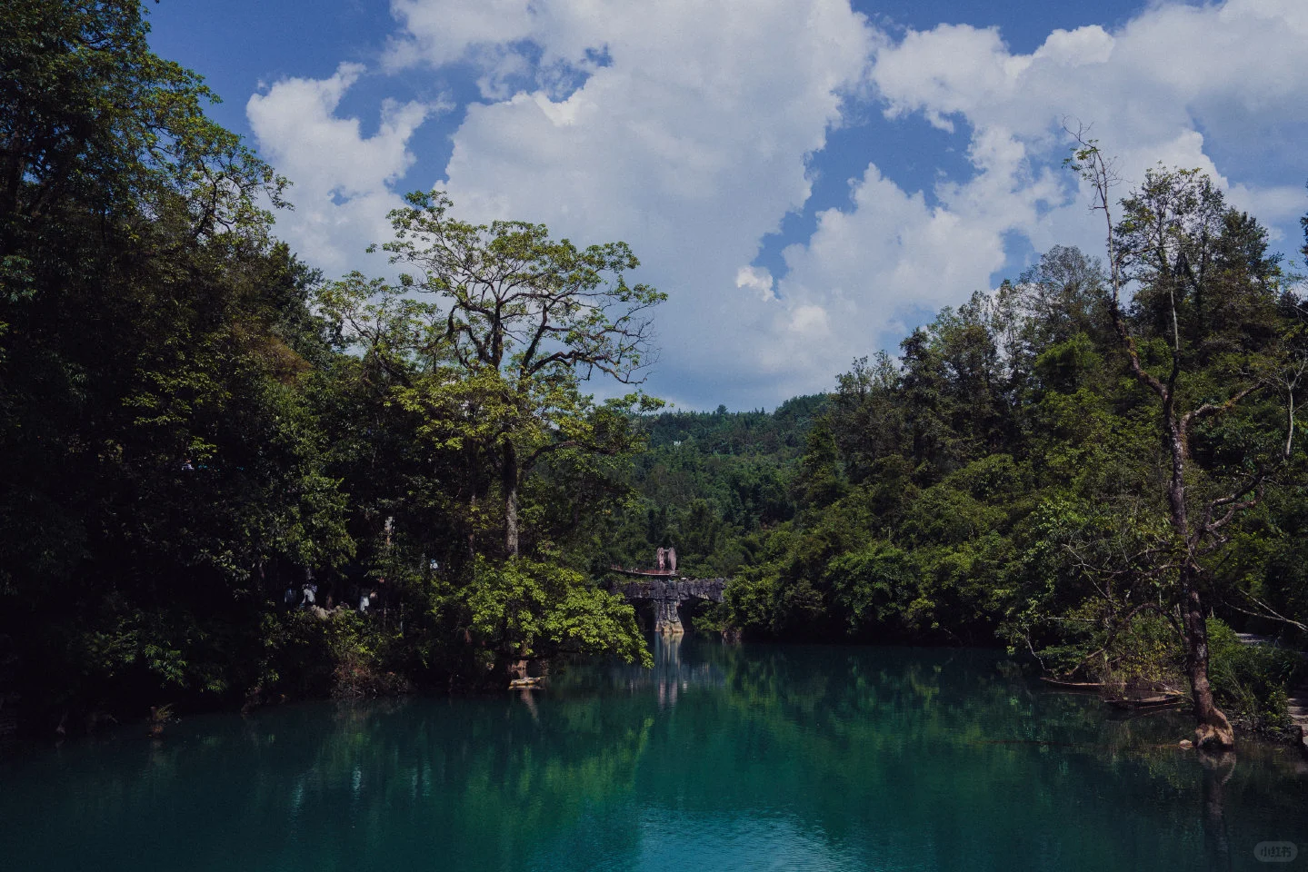 一个被上帝遗忘的地方