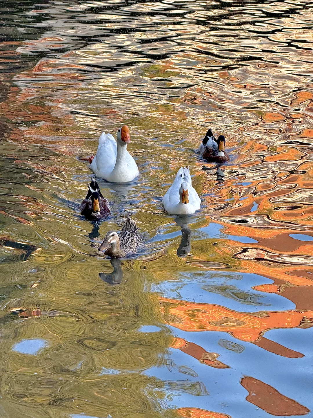 95后女生五一水上公园一日游，都玩了什么⁉️