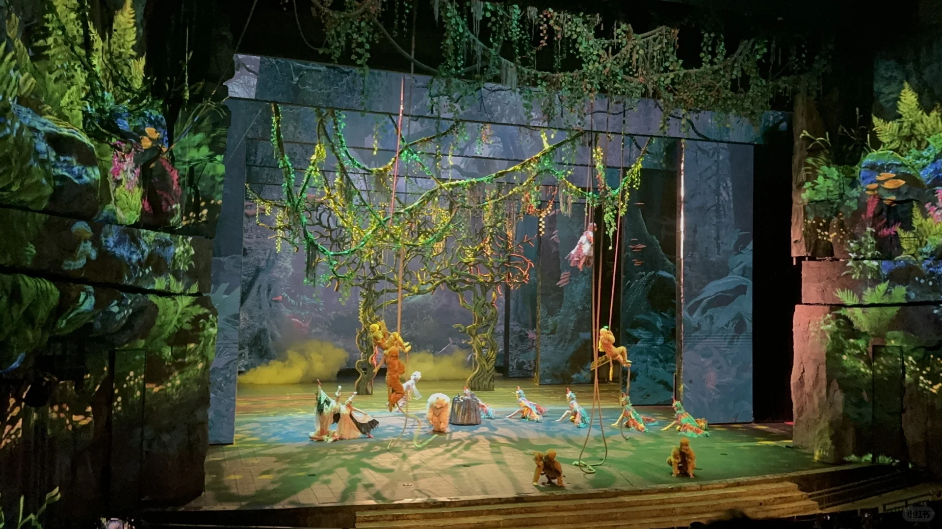 神农架五个景点包车一日游