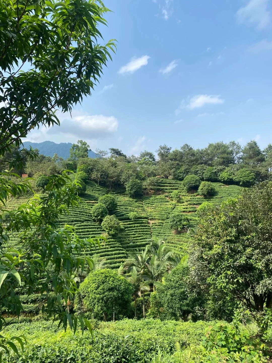 贺州❗9个旅游景点最全攻略❗高铁直达