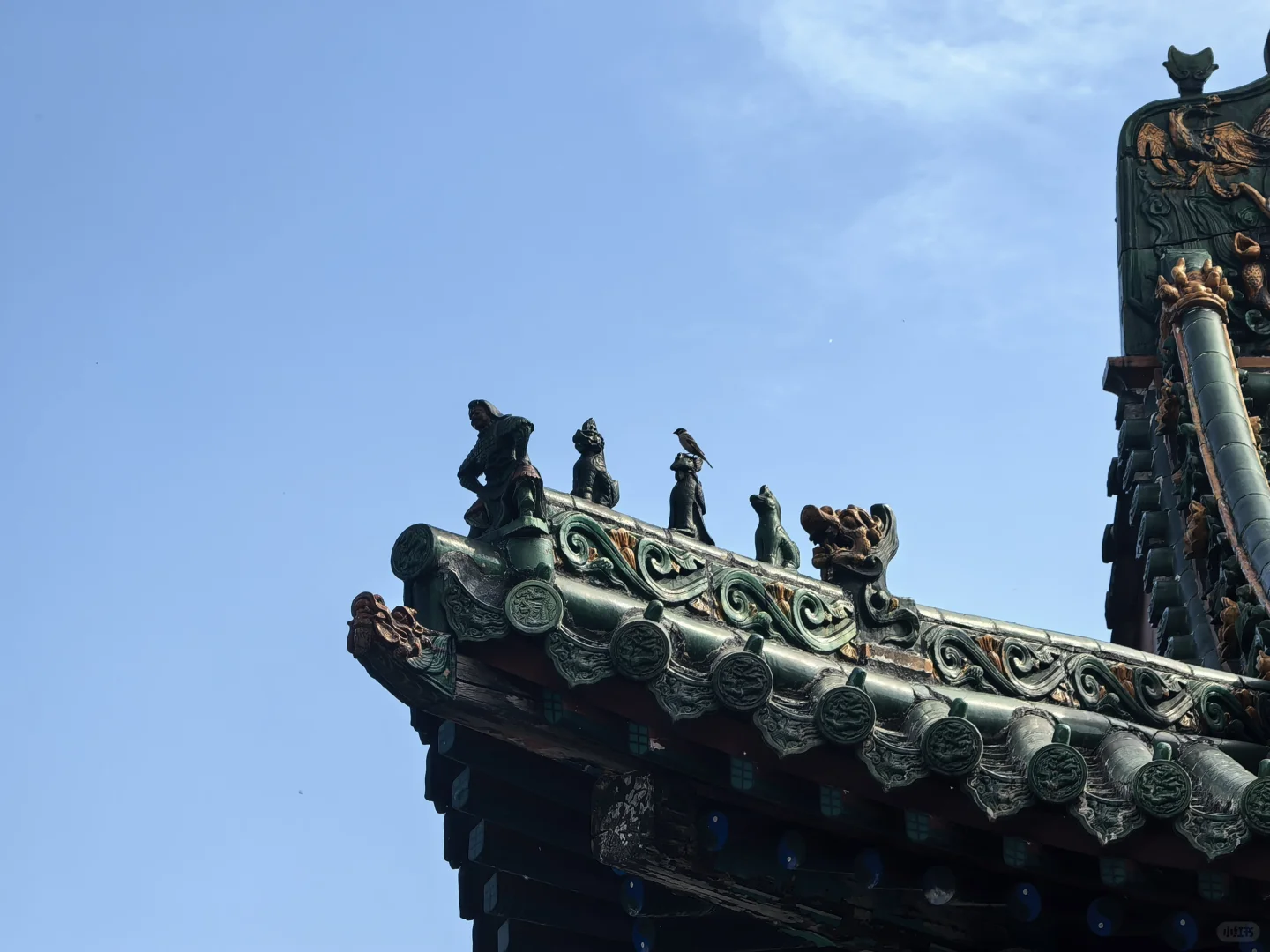 致我的鼓鼓钱包 邯郸篇（一）暴走篇