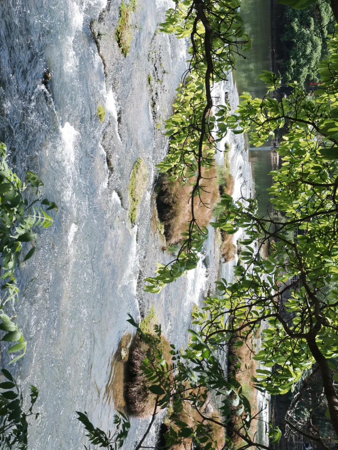 黄果树瀑布真是不去胜似去