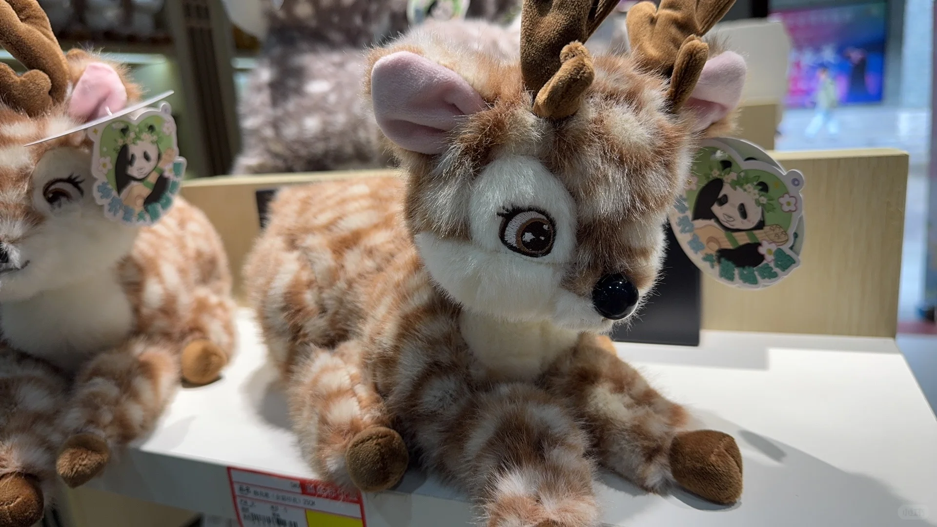 神农架五个景点包车一日游