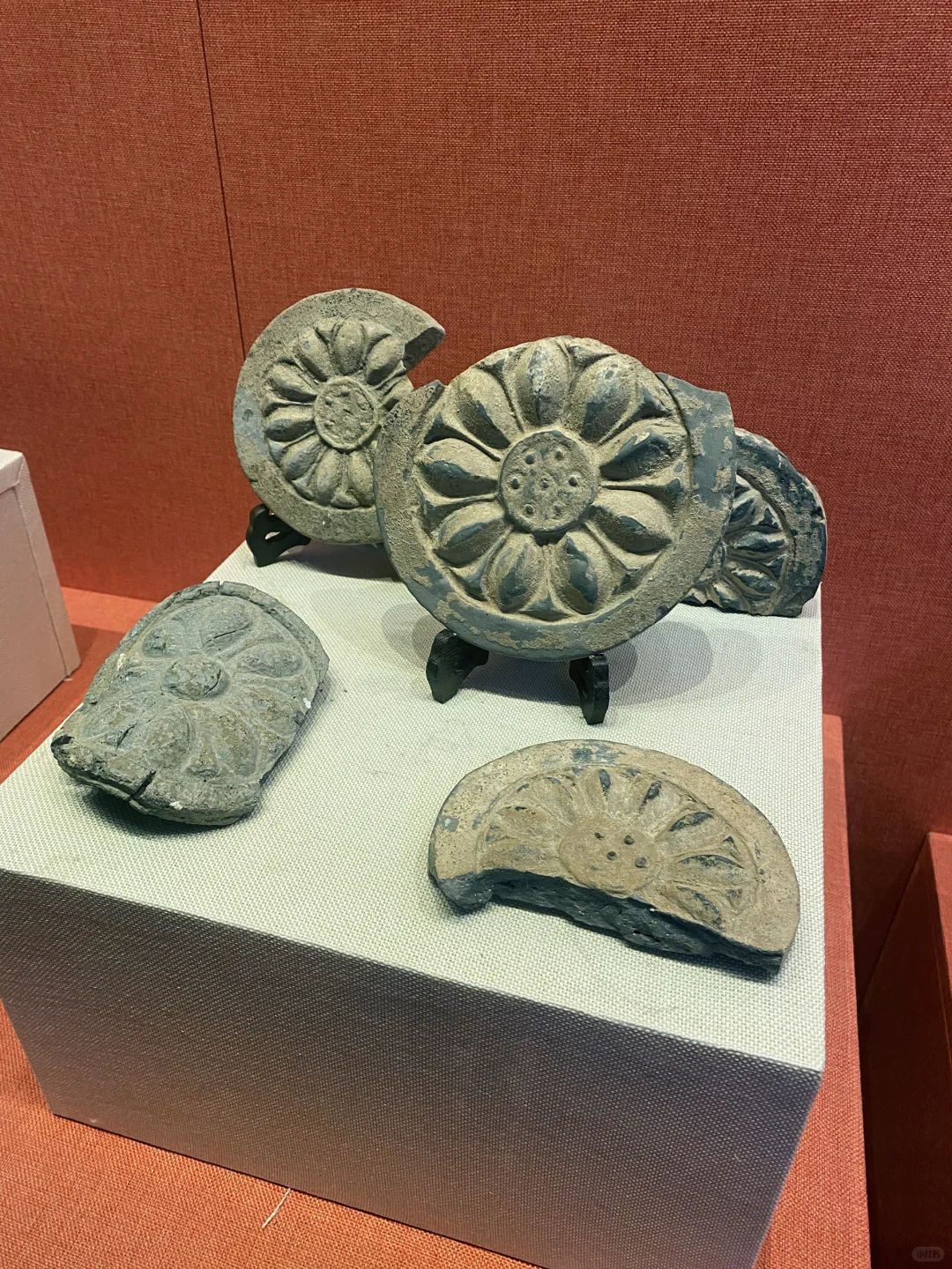 5-6 月打算去邯郸的姐妹，避雷不容小觑❗