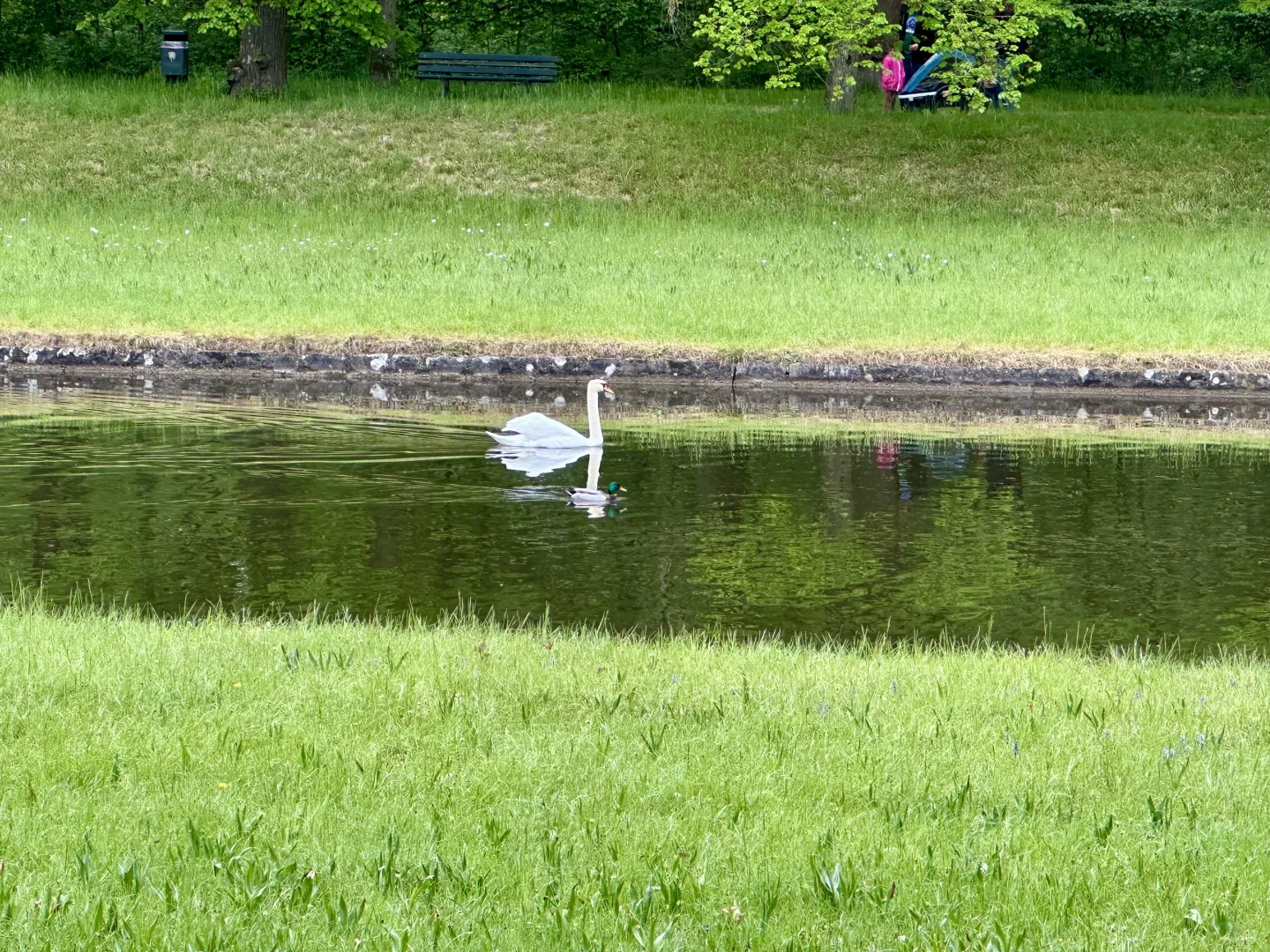 雨中游宁芬堡宫
