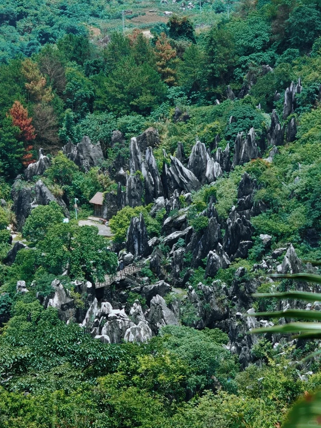 贺州❗9个旅游景点最全攻略❗高铁直达