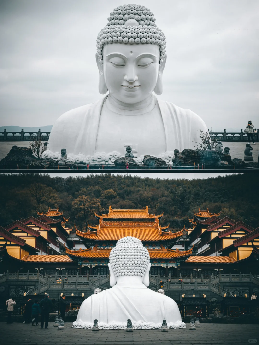 趁南京这座寺庙还不收门票🎫，大家快冲～