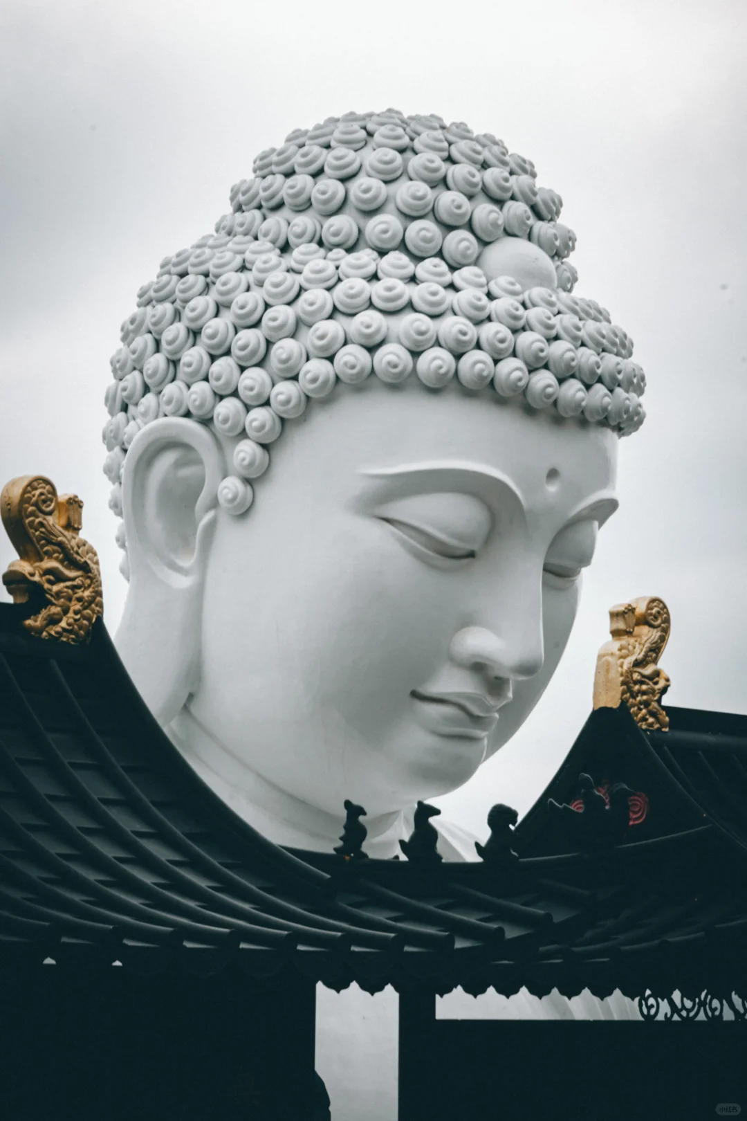 趁南京这座寺庙还不收门票🎫，大家快冲～