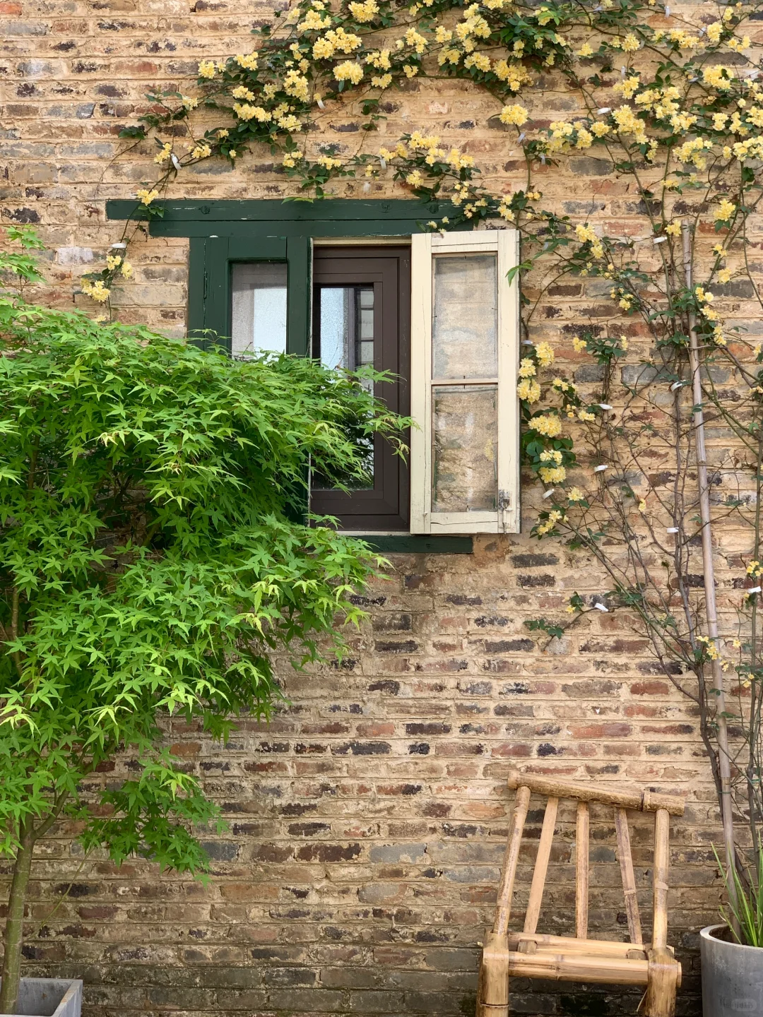 景德镇真的超级出片！！太喜欢啦😻😻