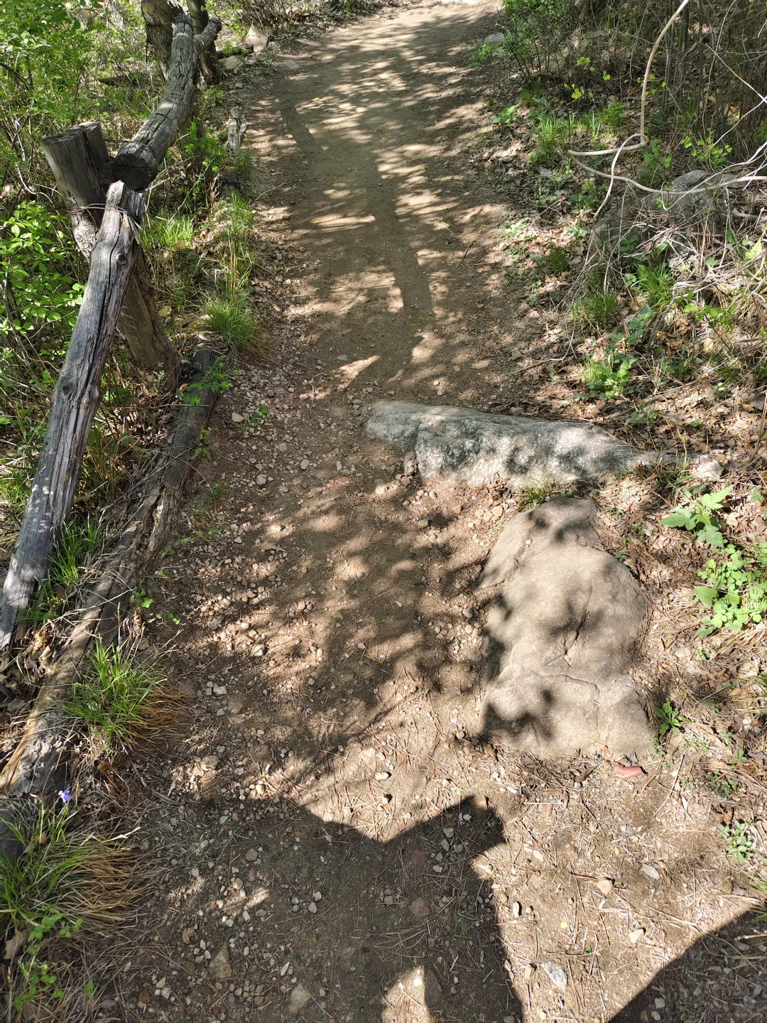 五一漫山花溪谷