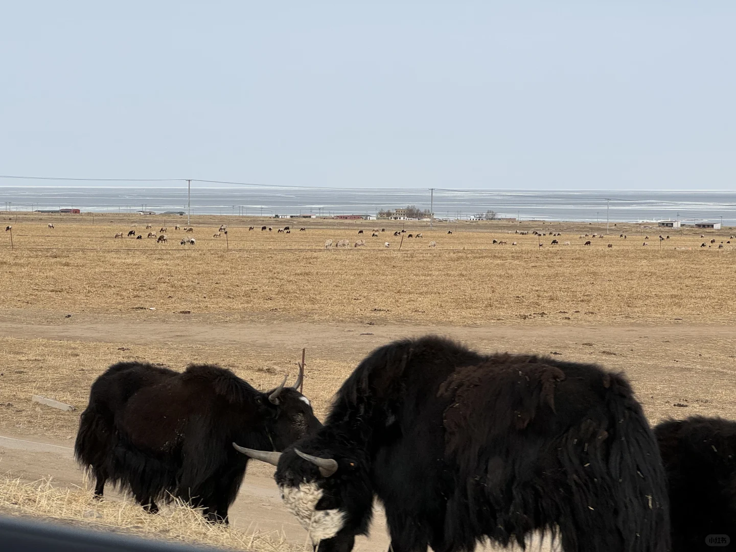 一些反季节的回忆