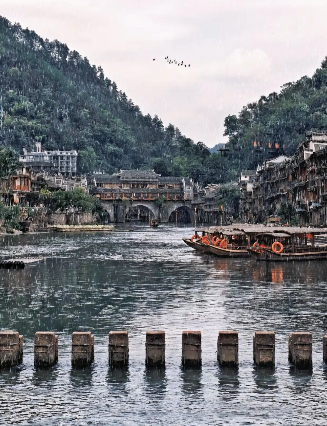 📍张家界｜吐槽完毕，来回顾一下美景🌄