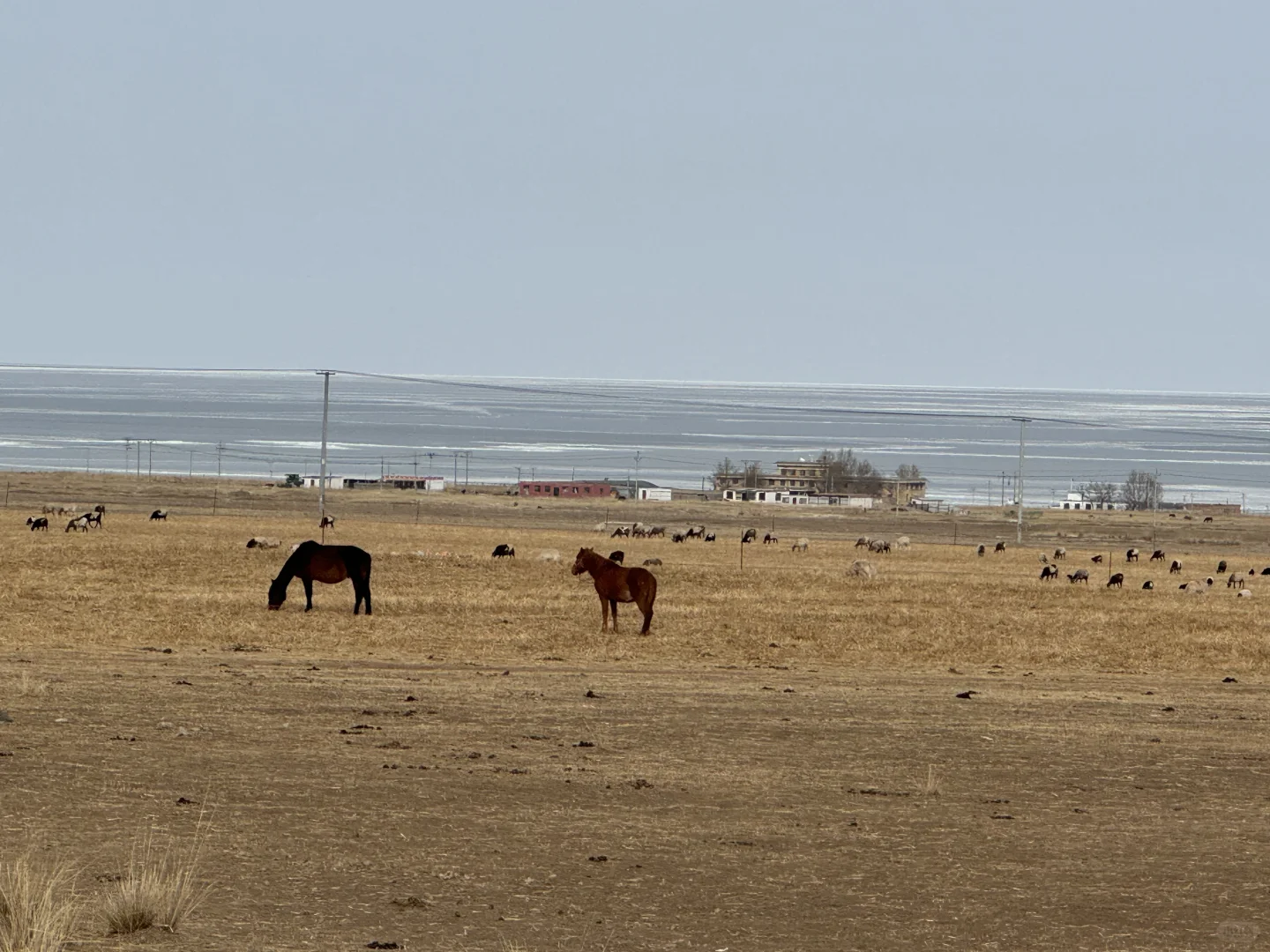 一些反季节的回忆