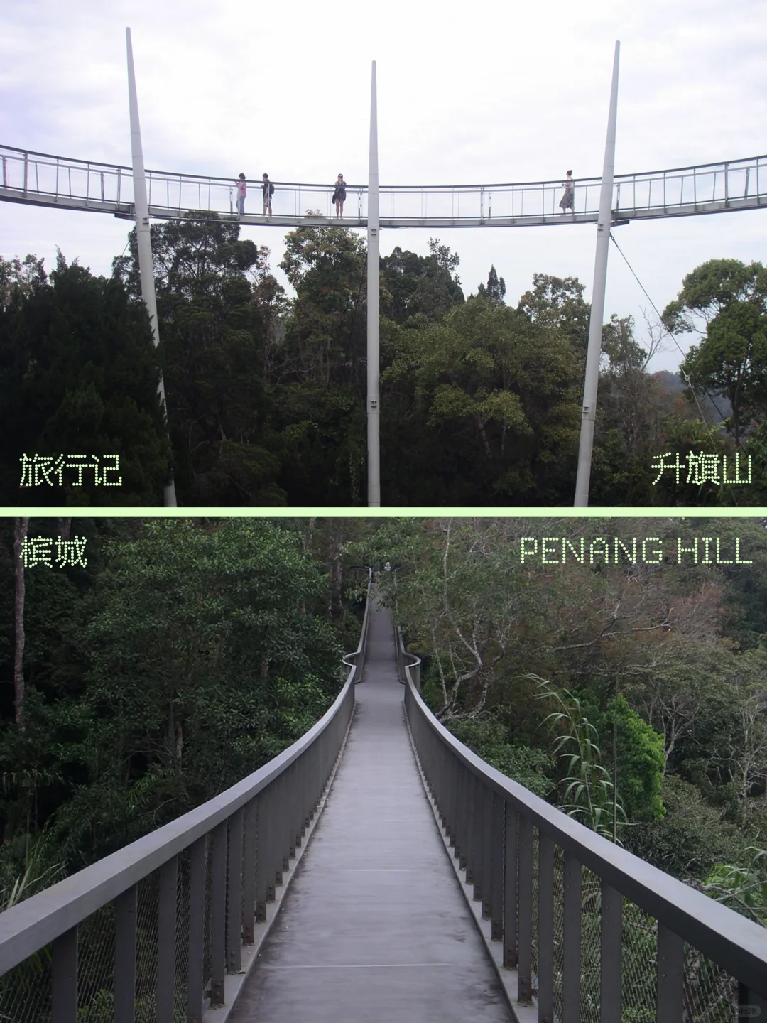 旅行记⁰¹ ✹掉落在槟岛热带 雨林里尽力呼吸