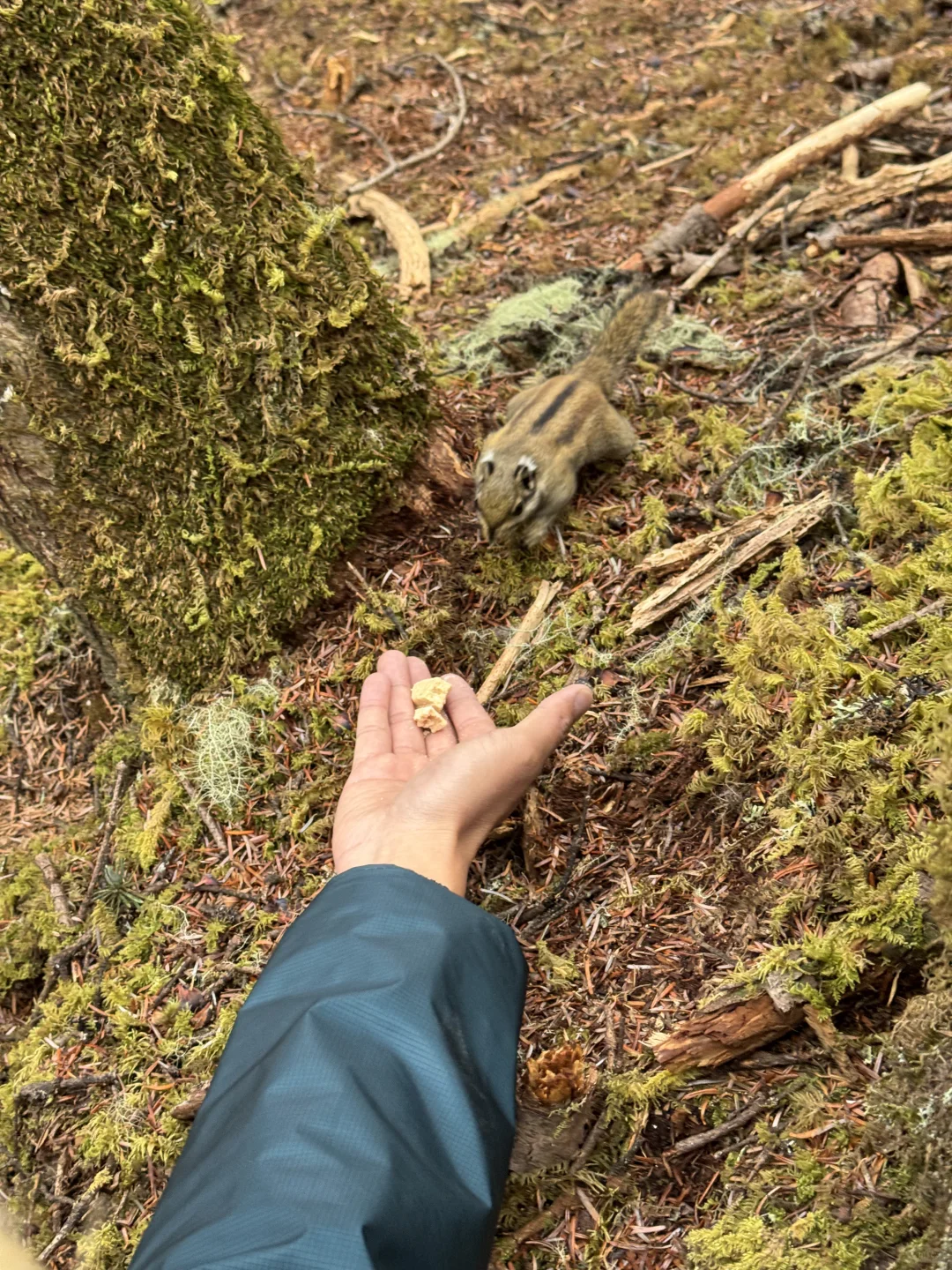 无底湖 5月4日实况 非常值得