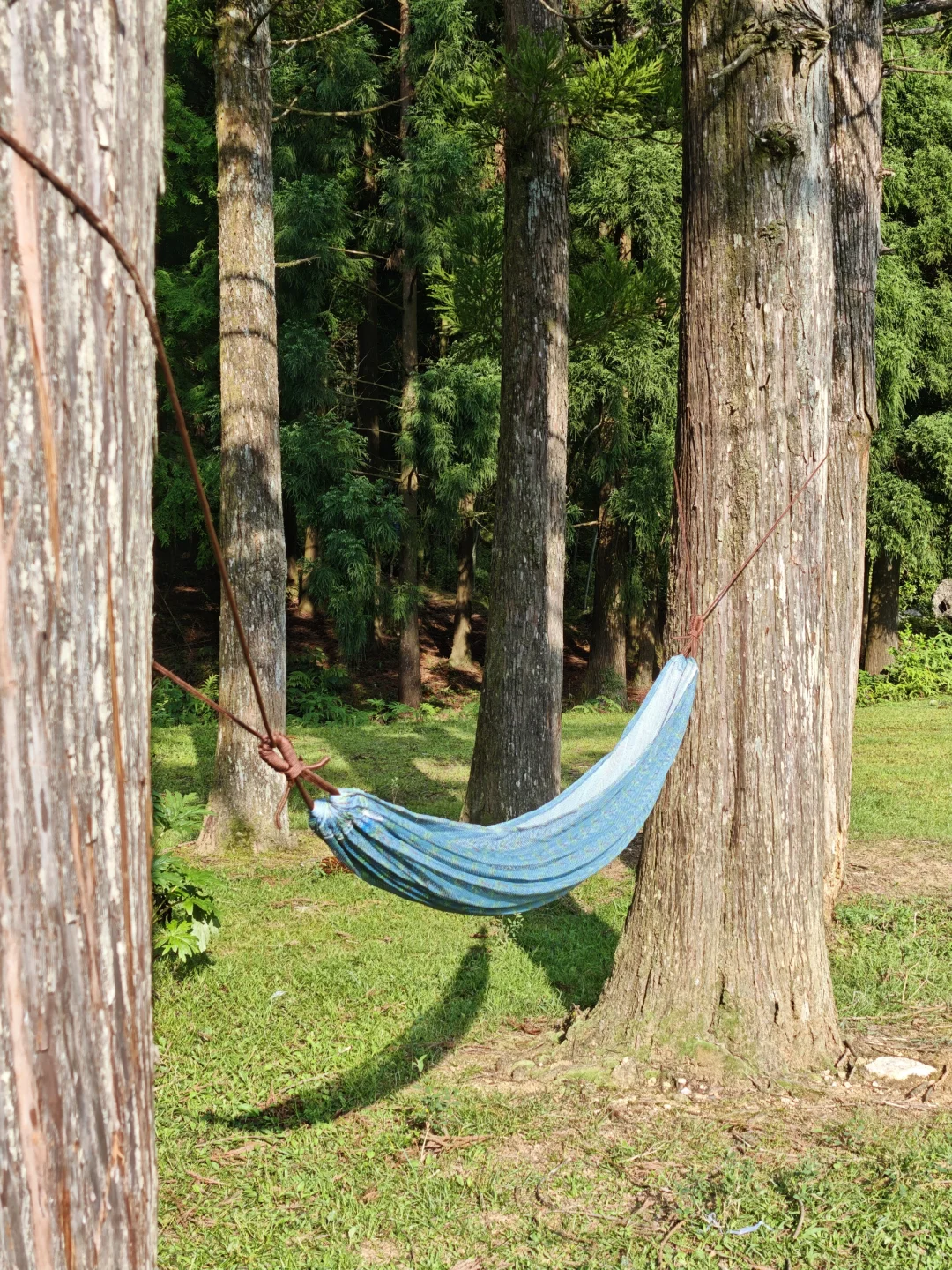 这个假期，来小新疆成功避开了人从众✌
