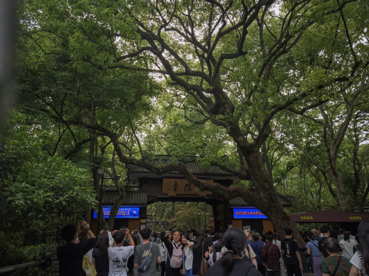 绍兴-杭州三天两晚旅行