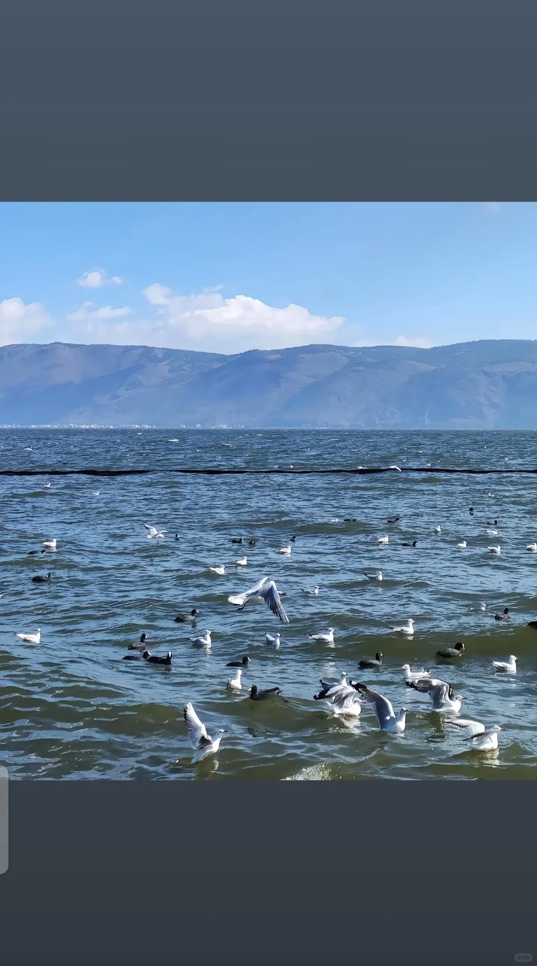 五一假期旅游全攻略，带你嗨玩不踩雷！