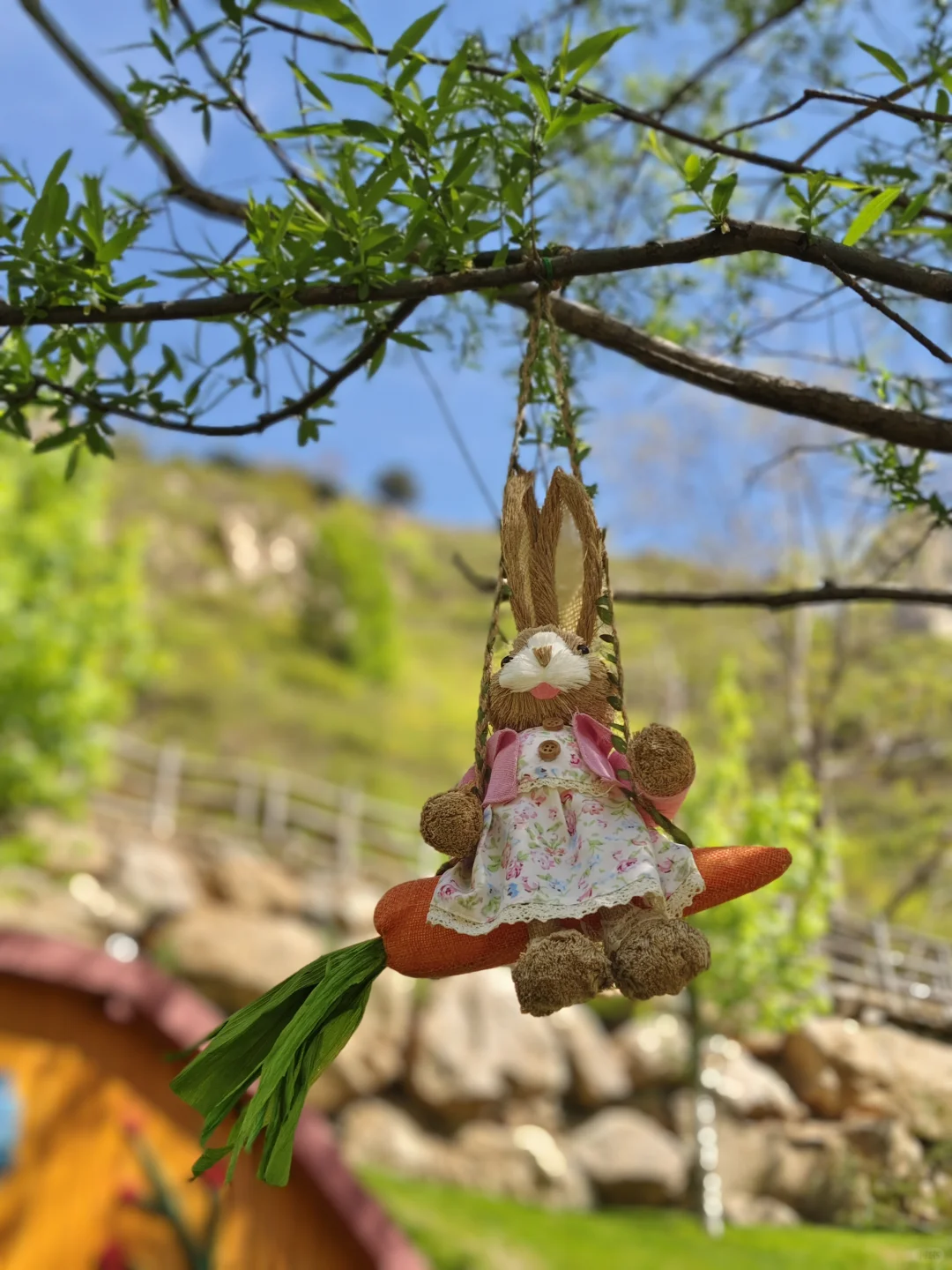 五一漫山花溪谷