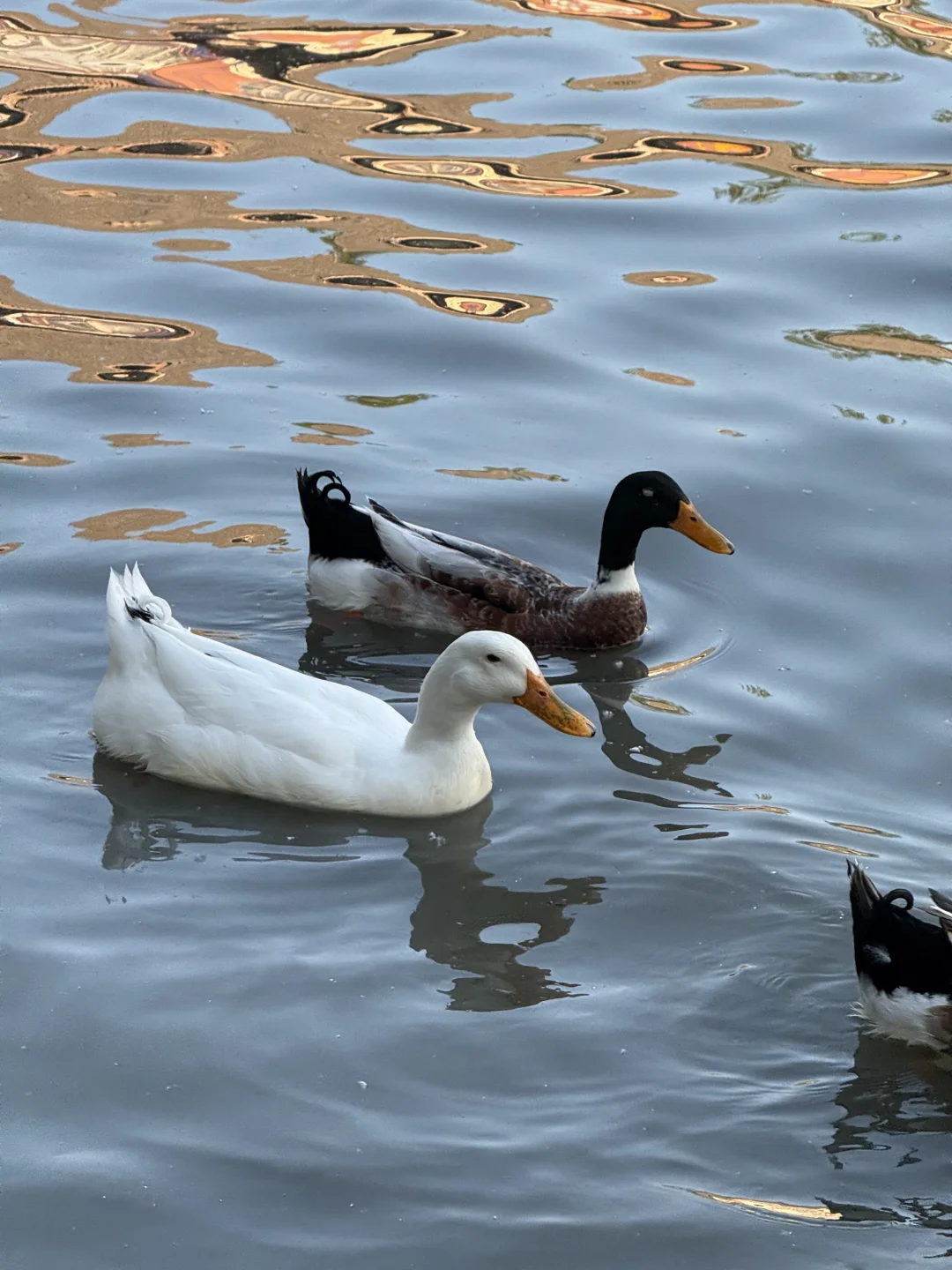 95后女生五一水上公园一日游，都玩了什么⁉️
