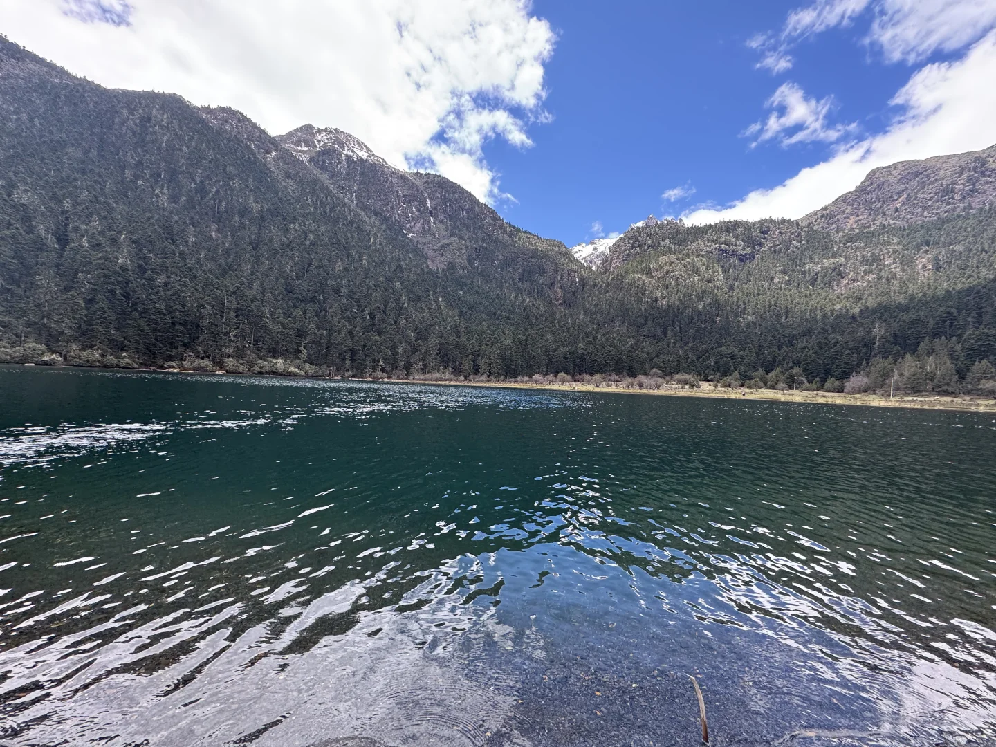 无底湖 5月4日实况 非常值得