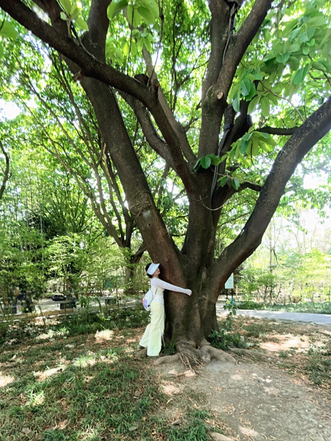 黄果树瀑布真是不去胜似去