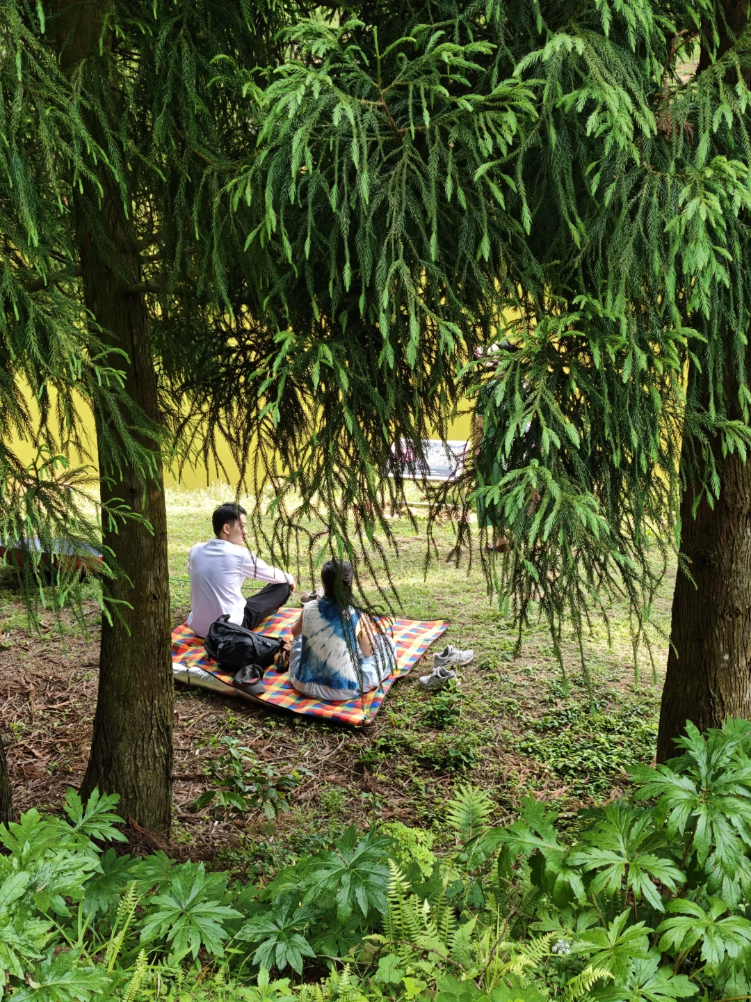 这个假期，来小新疆成功避开了人从众✌