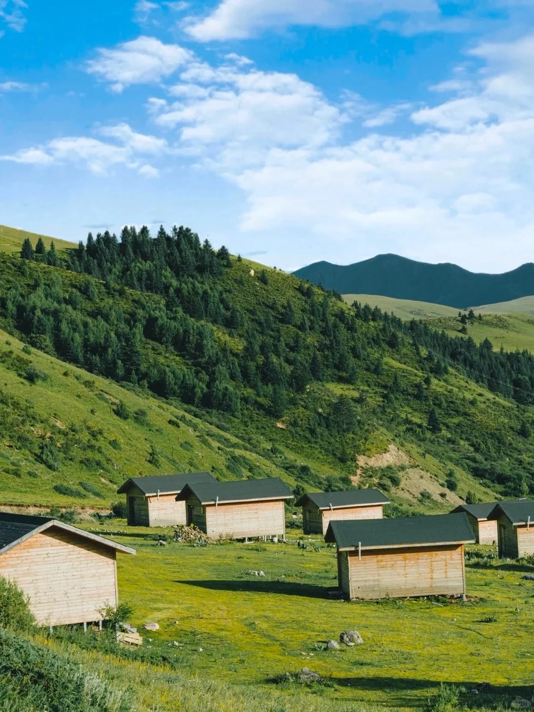 理塘 还想再去一次