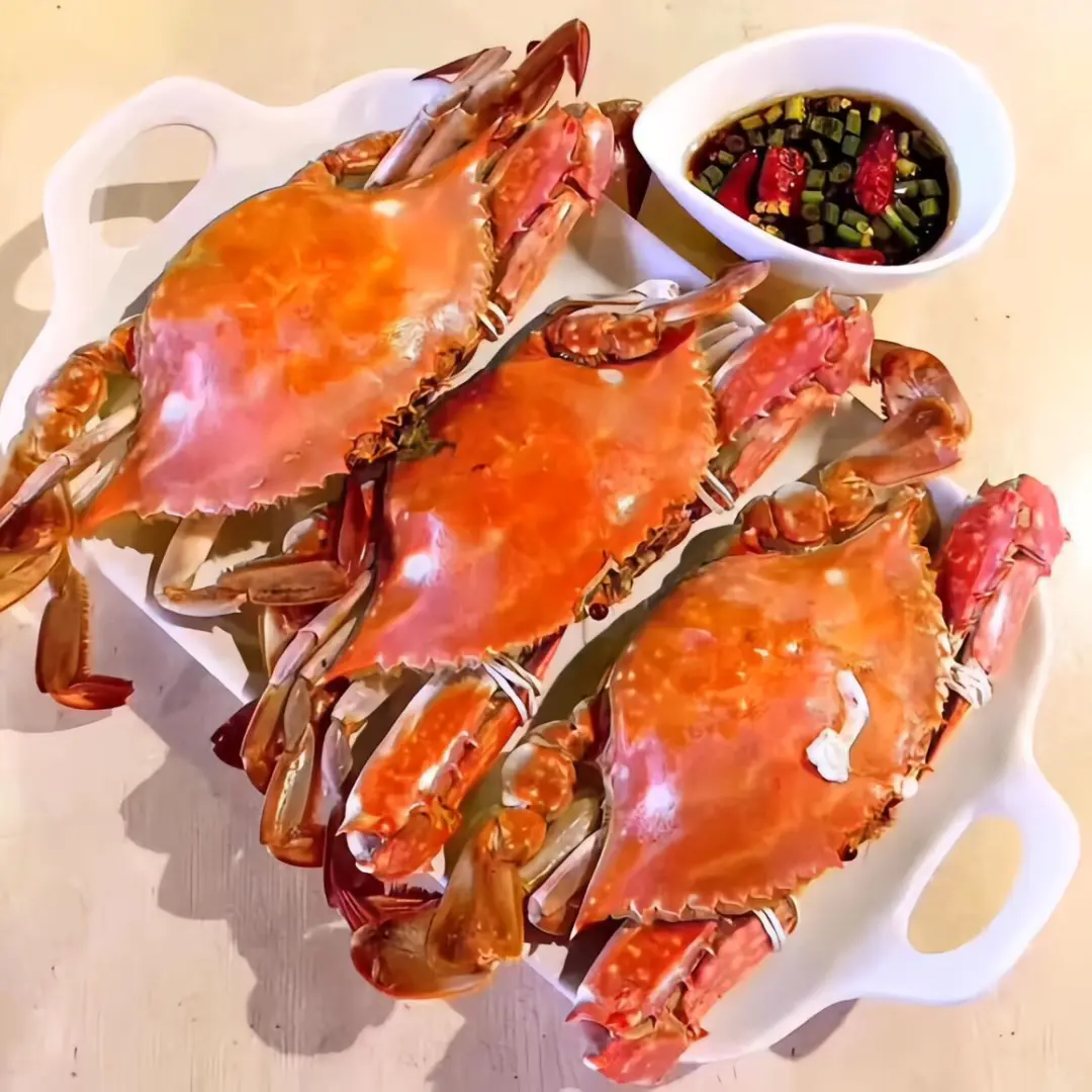 🌊 舟山旅游攻略｜必玩景点+美食+路线