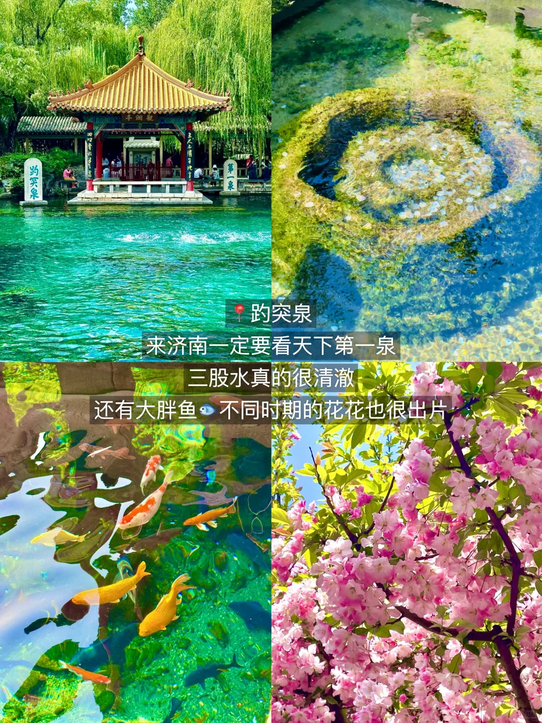 从济南回来，说点大实话😅😅😅