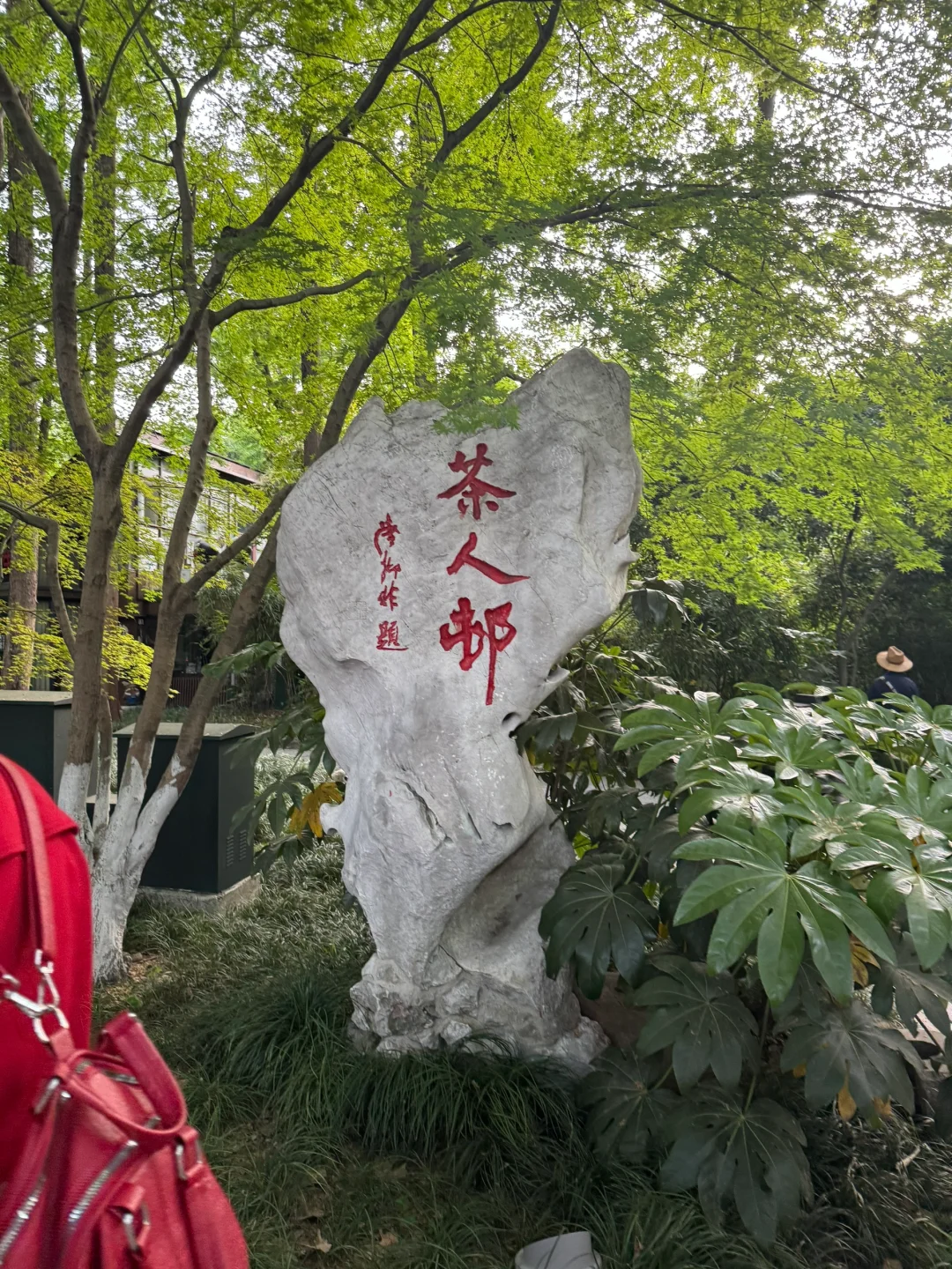 暴走西湖右爱心💗最后还能赶上西湖日落🌄