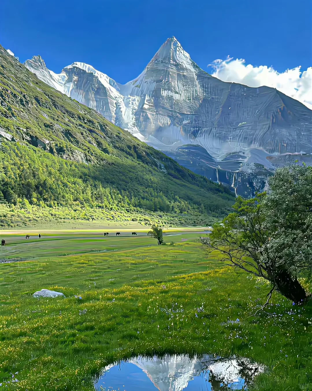 从新疆回来后，我的相册成了“视觉暴击”